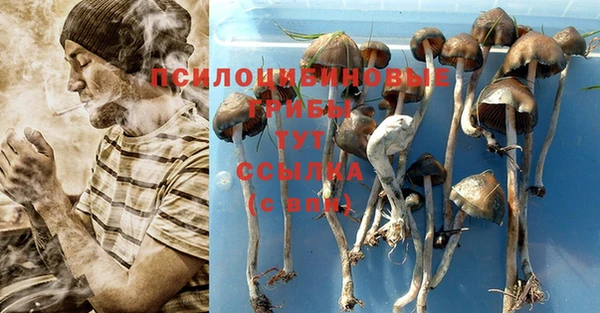 бошки Алзамай
